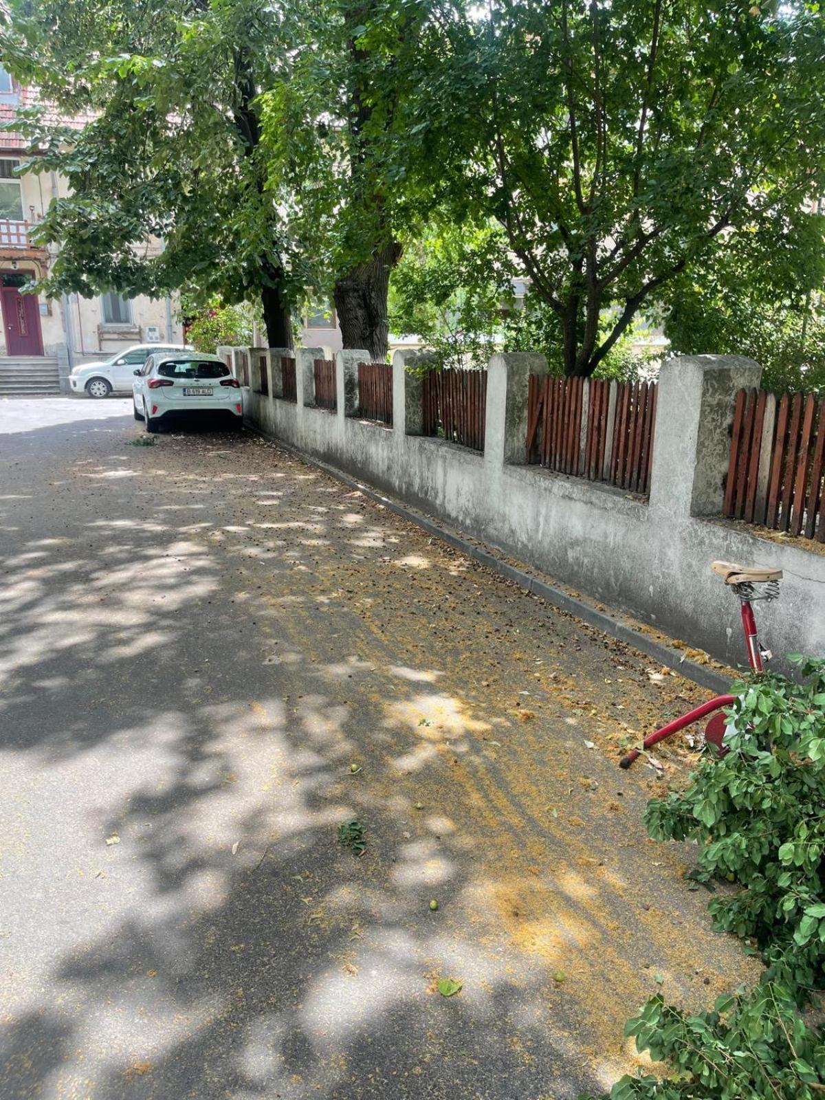 White Studio Bucureşti Eksteriør bilde
